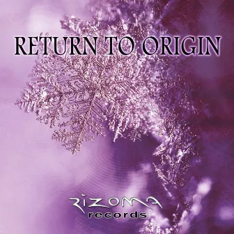 Return to Origin by Cosmos Vibration