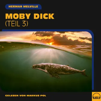 Moby Dick (Teil 3) by Markus Pol