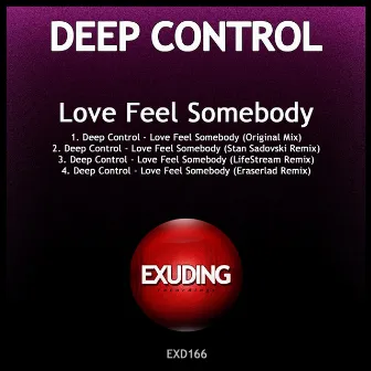 Love Feel Somebody by Deep Control