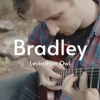 Bradley by Leviathan Owl