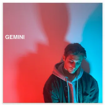 Gemini by Sn4tch