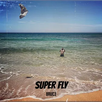 Super Fly by Bruc3