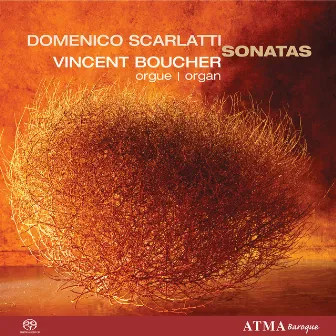 Scarlatti, D.: Keyboard Sonatas by Vincent Boucher