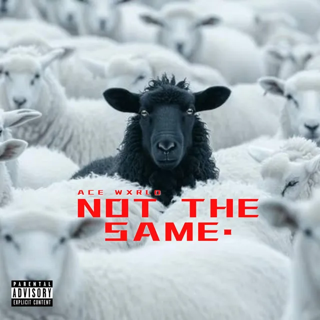 NOT THE SAME (FREESTYLE)