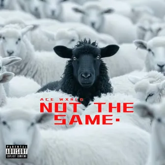 NOT THE SAME (FREESTYLE) by Ace Wxrld