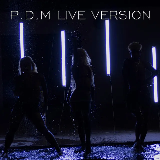 P. D. M. - Live Session