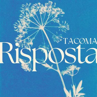 Risposta by TACØMA