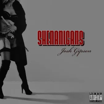 Shenanigans by Josh Gipson