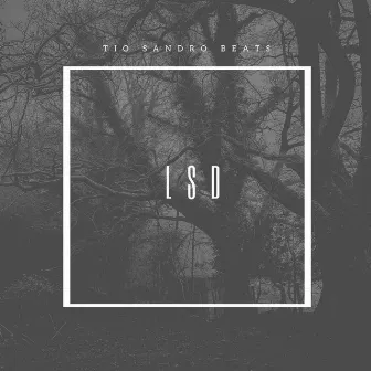 LSD by Tio Sandro Beats