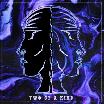 Two of a Kind by Sonic Pilot