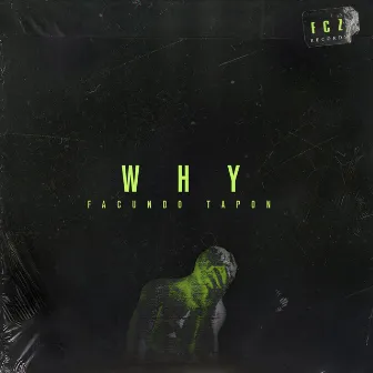 Why by Facundo Tapön