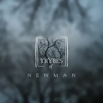 Tears of Rain by Newman (I Love)