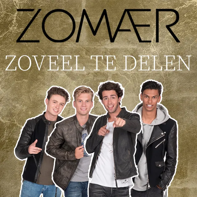 Zoveel Te Delen