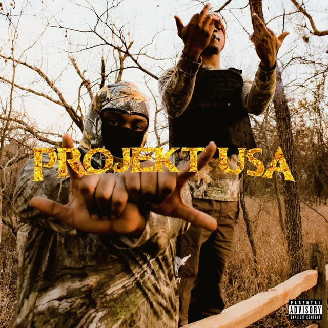 PROJEKT USA