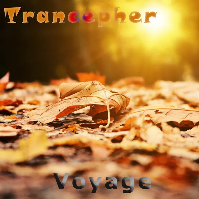 Voyage