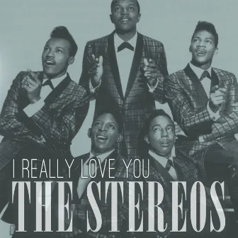 I Really Love You by The Stereos