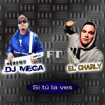 Si Tú La Ves by Dj Mega