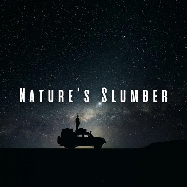 Nature's Slumber: Binaural Harmonies for Restful Sleep