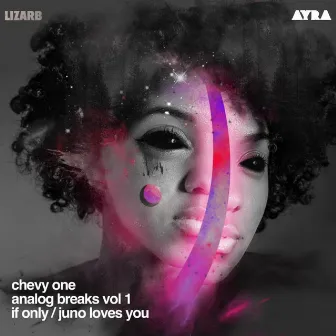 Analog Breaks Vol 1 by Chevy One