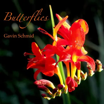 Butterflies by Gavin Schmid