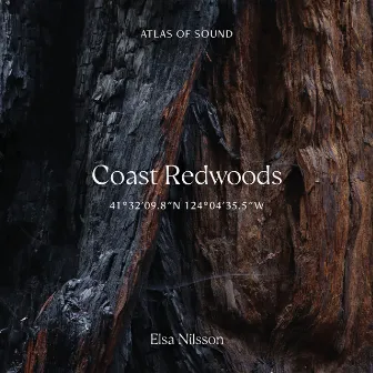 Atlas Of Sound - Coast Redwoods - 41°32'09.8