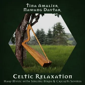 Celtic Relaxation: Harp Music with Singing Birds & Crickets Sounds by Nawang Dautar