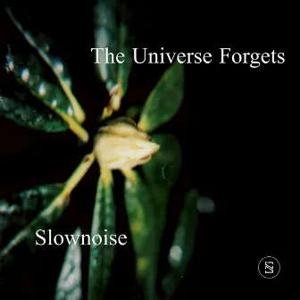 The Universe Forgets by Slownoise