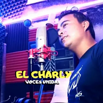 Nidito de Amor by El Charly