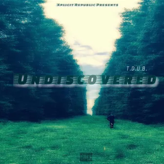 Undiscovered by T-Dub