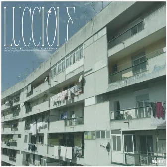 Lucciole by Vincè