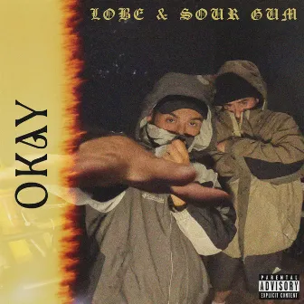 Okay by Sour Gum