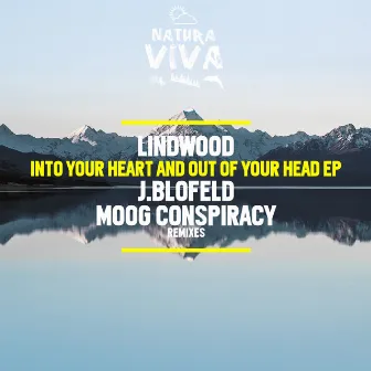 Into Your Heart and Out of Your Head by Lindwood