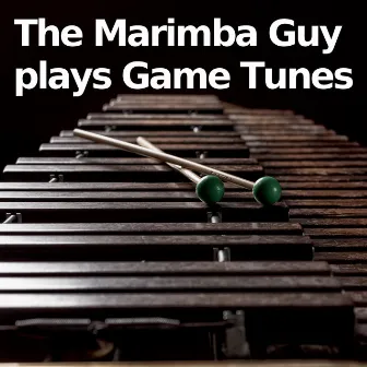 The Marimba Guy plays Game Tunes by Video Game Players