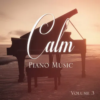 Calm Piano Music, Vol. 3 by Unknown Artist