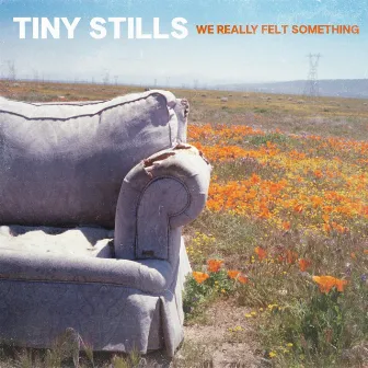 We Really Felt Something by Tiny Stills