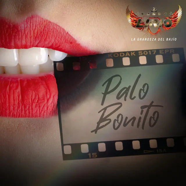 Palo Bonito