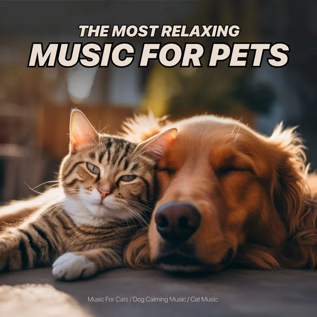 The Most Relaxing Music for Pets