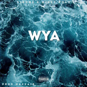 WYA by Clearvision Ent