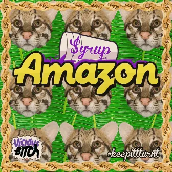 Amazon EP by $yrup