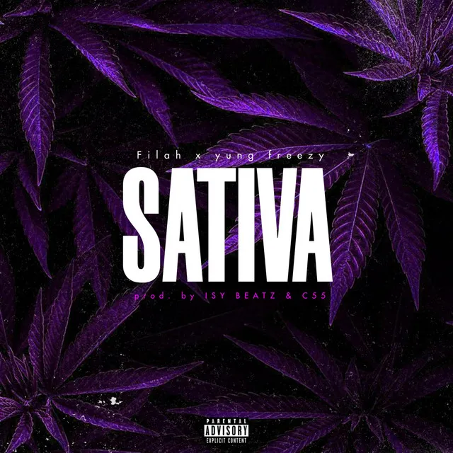 Sativa