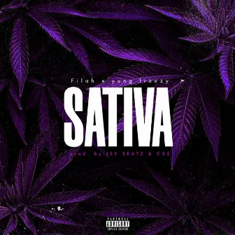 Sativa by yung freezy