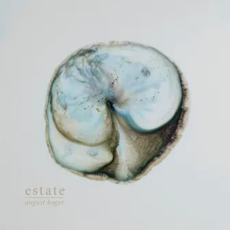 Estate by August Bager