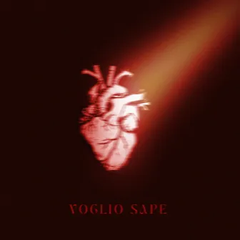 Voglio Sapè by Frankie One