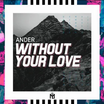 Without your love (Radio Edit) by Ander