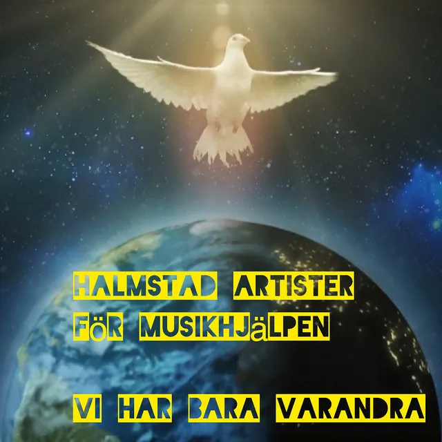 Vi har bara varandra