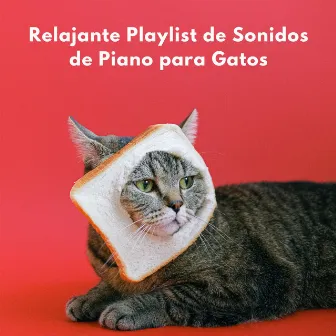 Relajante Playlist De Sonidos De Piano Para Gatos by Radio Jazz de Nueva Orleans