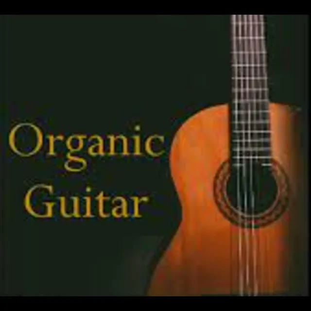 Organic Guitar