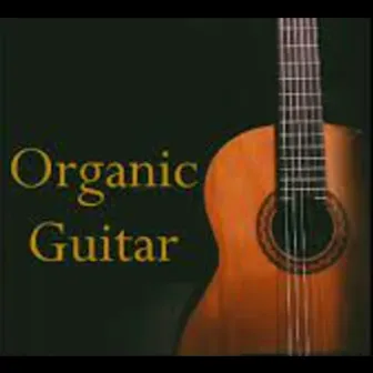 Organic Guitar by Jason Asquare