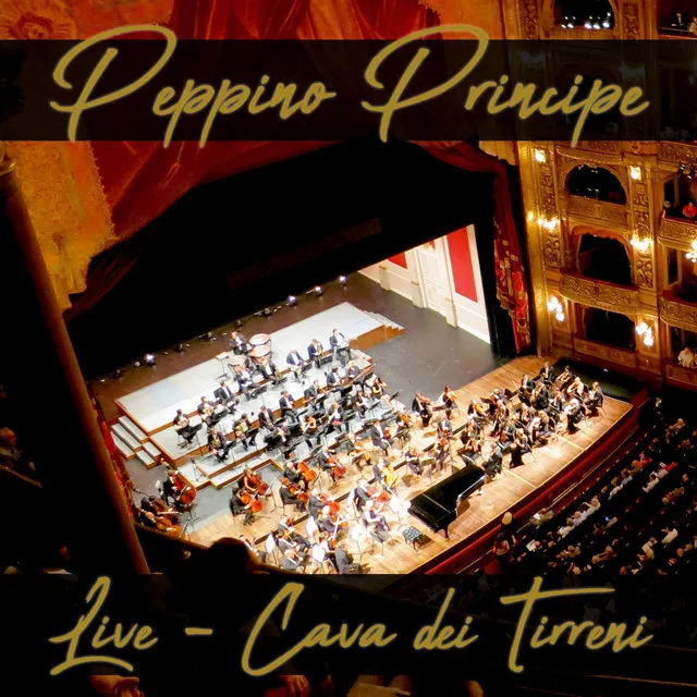 Peppino principe - live cava dei tirreni (Live)