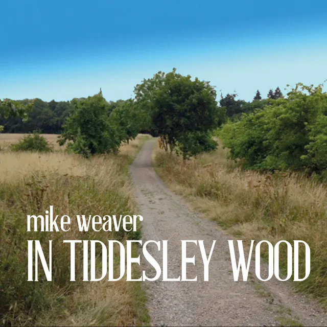 In Tiddesley Wood